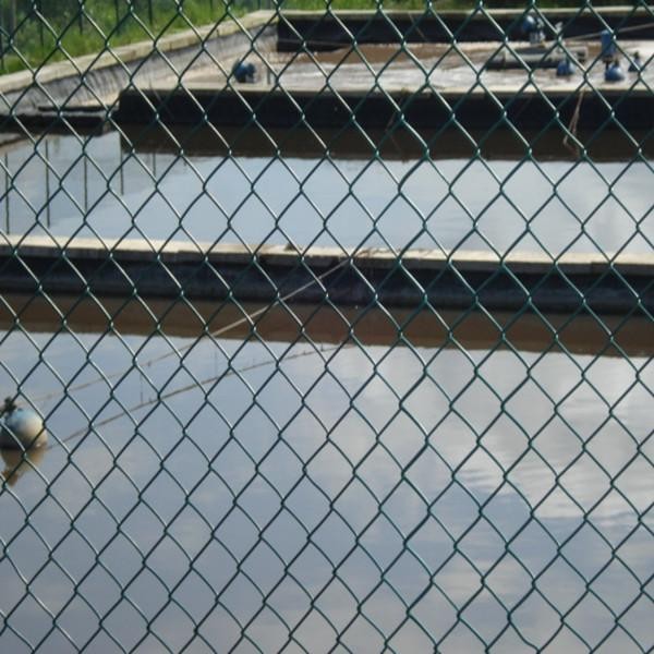 에 대한 최신 회사 뉴스 메쉬 보안 체인 링크 울타리  0