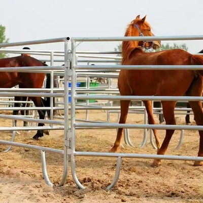 뜨거운 침지된 직류 전기로 자극된 Sheep/cattle/goat/horse 야드 패널 축산 패널 철 농가 울타리 열 처리된 압력 처리된 Ｗ