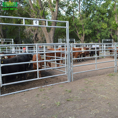 소를 위한 직류 전기로 자극된 원형 관 동물 울타리 패널