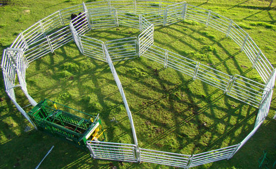 가축 농장을 위한 ISO 2.1m 길이 가축 울타리 패널
